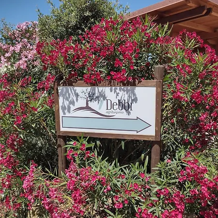 مزرعة للإقامة I Debbi بيبونا