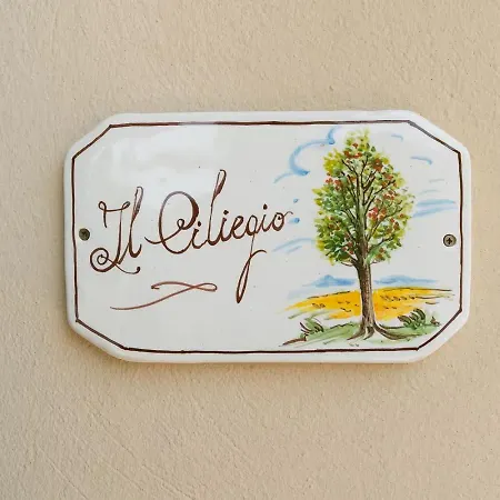 I Debbi بيبونا