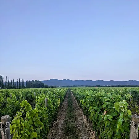 I Debbi مزرعة للإقامة