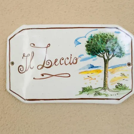 I Debbi * بيبونا