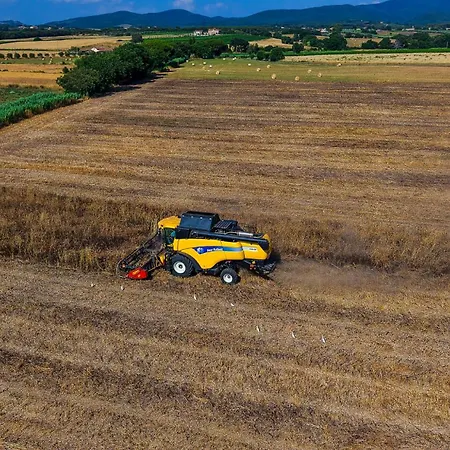 مزرعة للإقامة I Debbi بيبونا