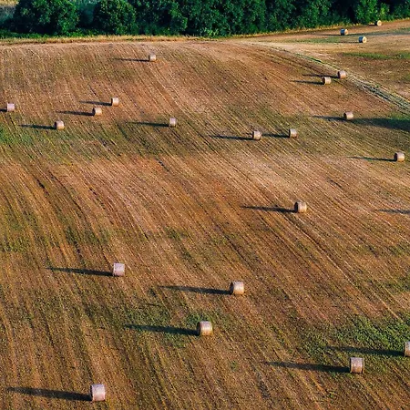 مزرعة للإقامة I Debbi